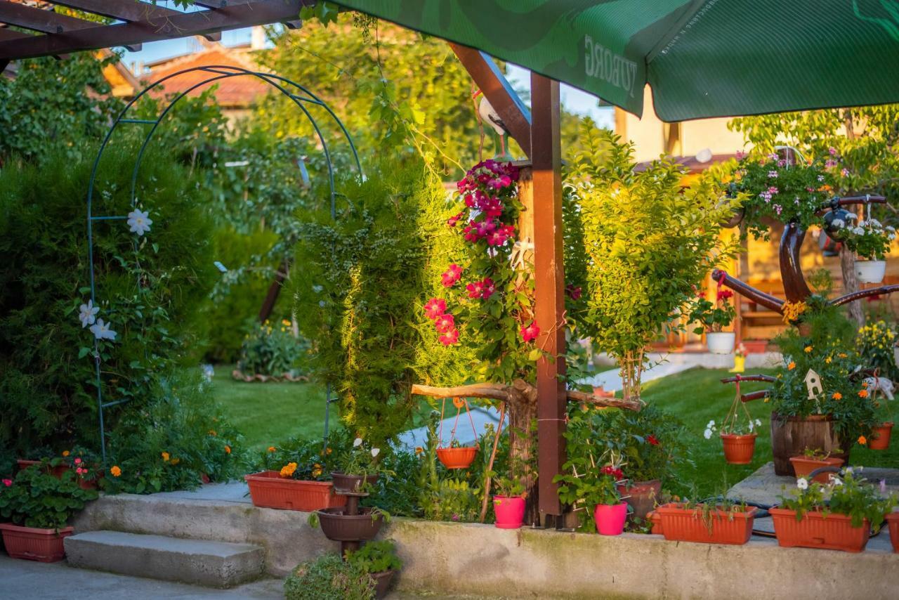 Guest House Vasilena Sapareva Banya Εξωτερικό φωτογραφία