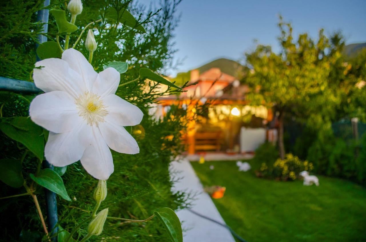 Guest House Vasilena Sapareva Banya Εξωτερικό φωτογραφία